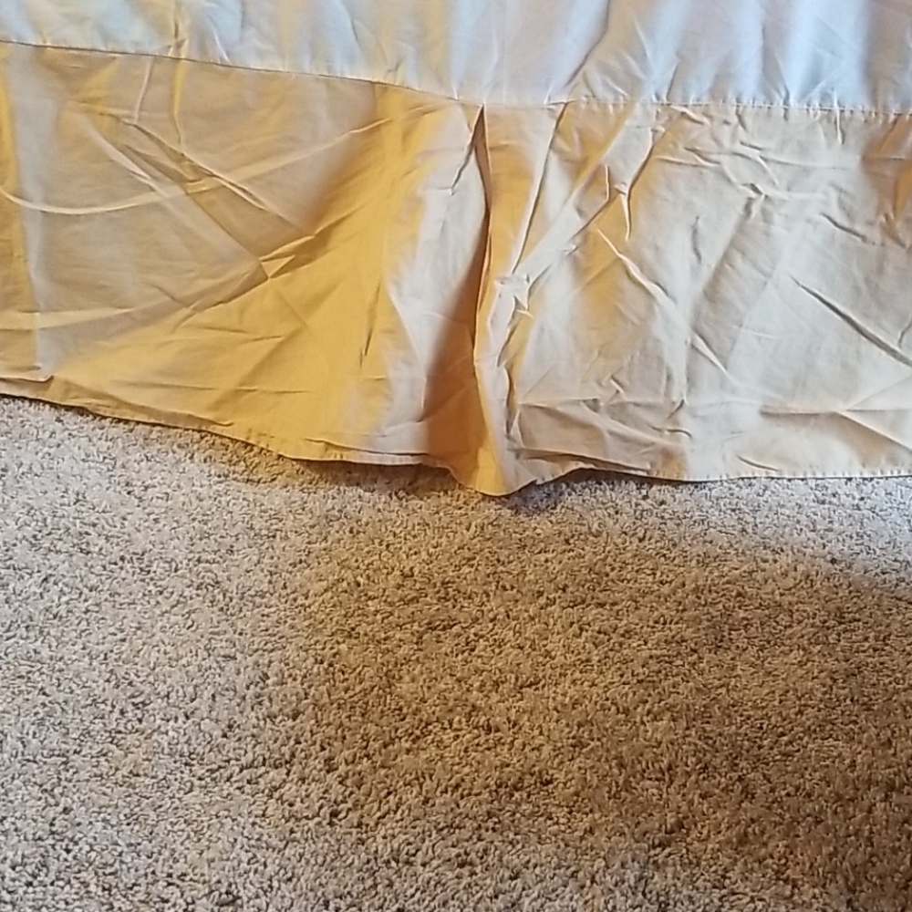 King Light gold dust ruffle Z